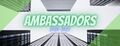 Ambassadors 2020-2021 FB Banner.jpeg