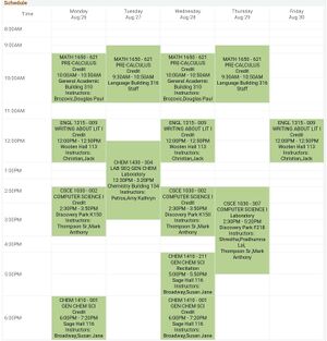 Example First Semester Schedule